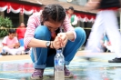 HUT ke-71 RI_433